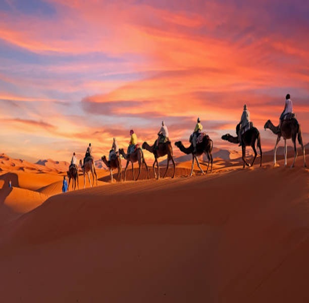 DesertSafari