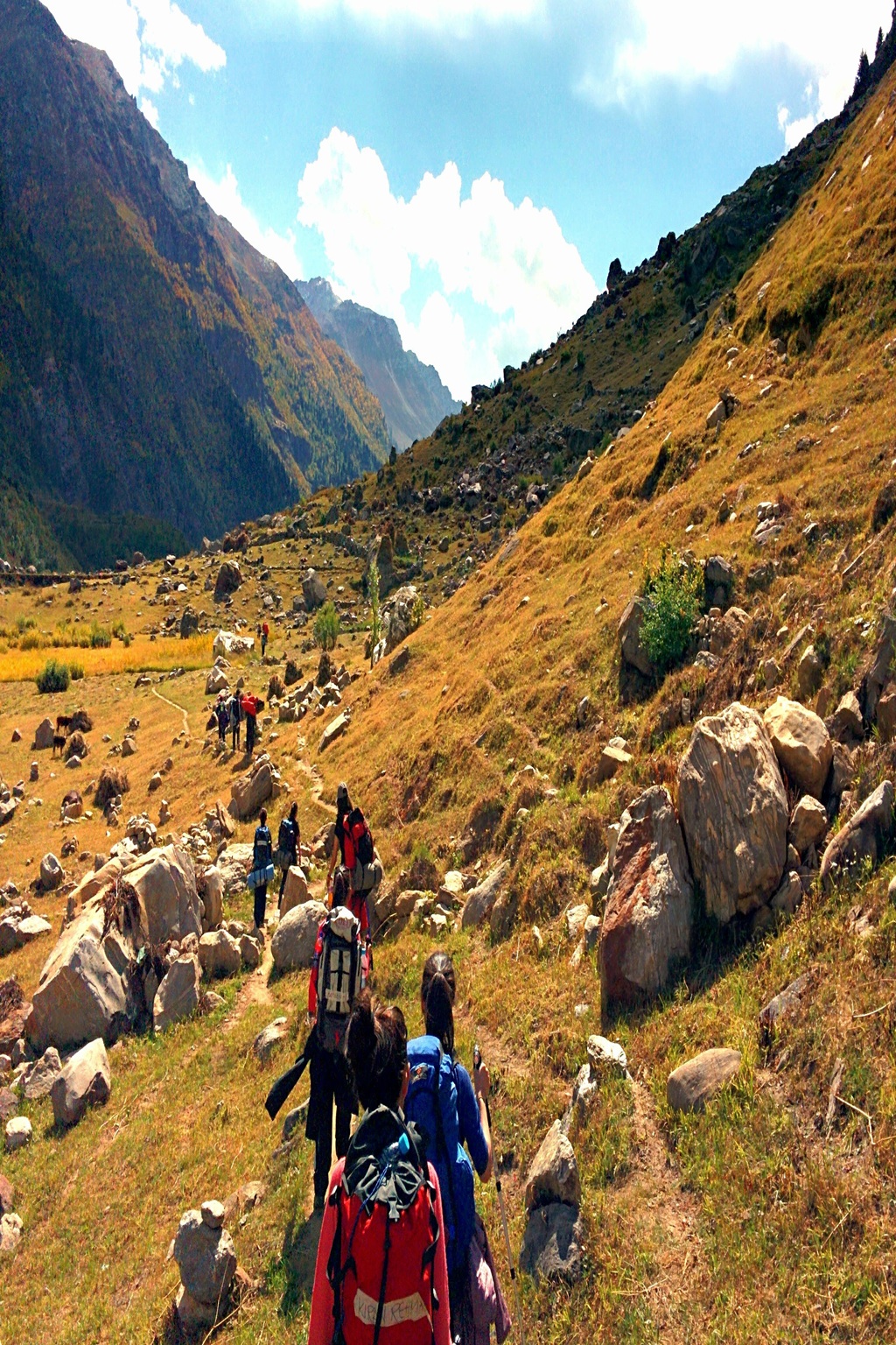 Trekking_in_Domail_Kashmir