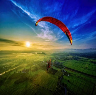 air_bird
