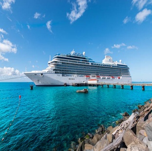 cruse
