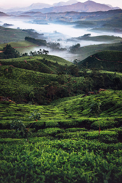 kerala