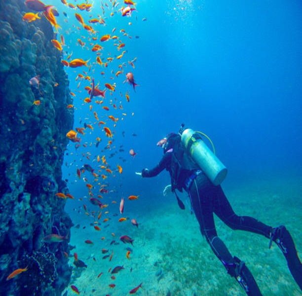 scuba