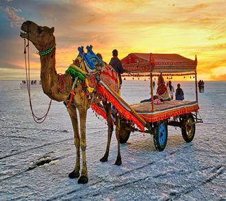 Featured_ _Gujarat