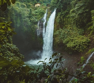 bali 1