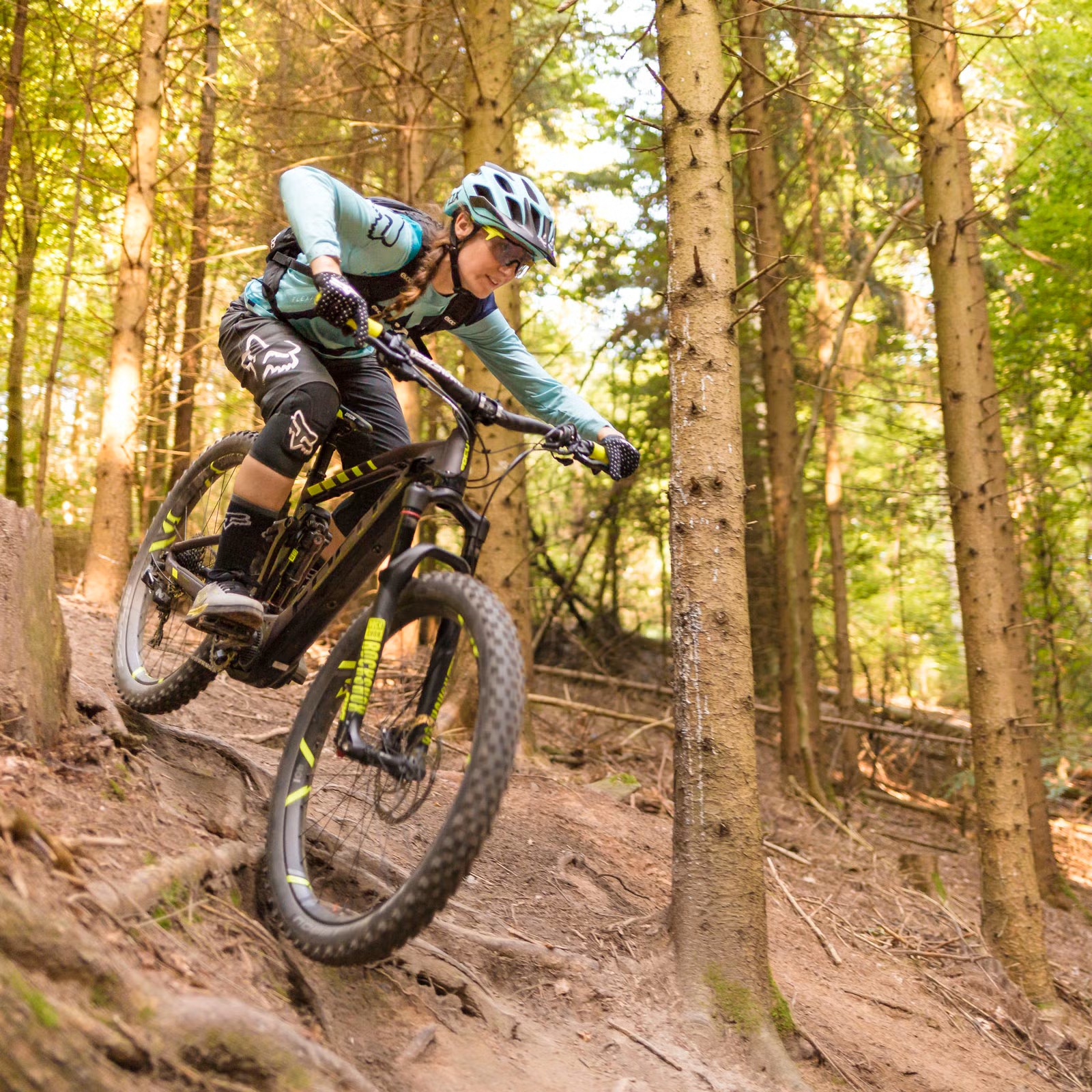 electric mountain bikes_s